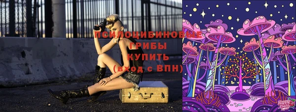спиды Волосово